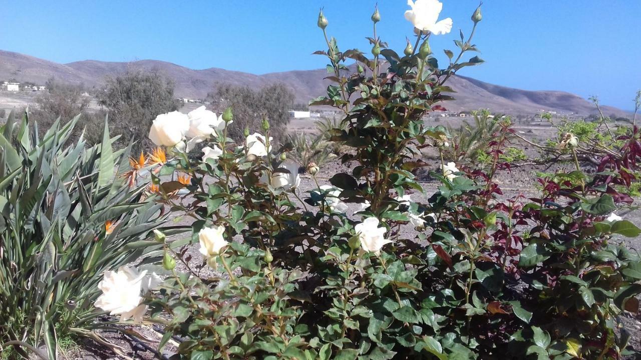 Finca Los Rosales Lajita Esterno foto