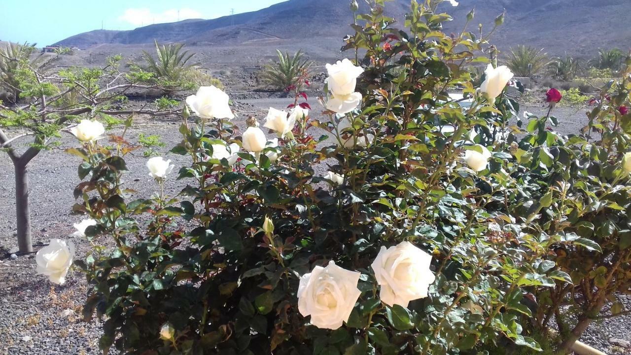 Finca Los Rosales Lajita Esterno foto