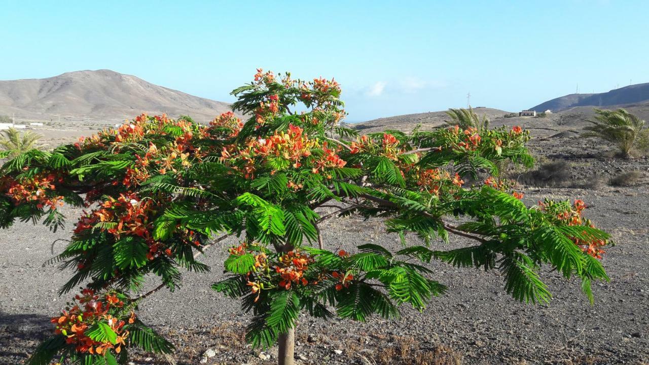 Finca Los Rosales Lajita Esterno foto